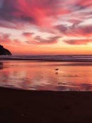 The Daring Wife of a