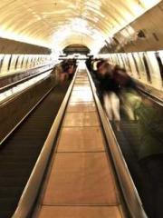 lt;Gingerly, Shen Qi