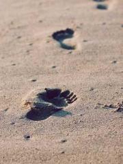 First Era, Dragon Lo