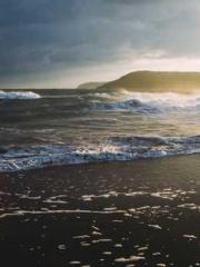 The Stand-in Wife Wa