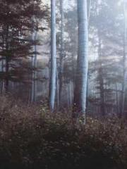 Ning Yuan Rong Zhao 