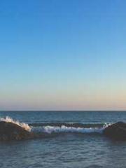 The Daring Wife of a