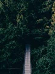 lt;lt;lt;Visionary S