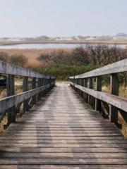 lt;Marry at first si