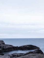 Mr. Gu, your wife is