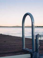 The Wife of My Heart