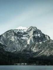 The Return of the Go