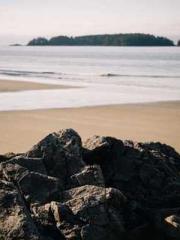 The young masterapos