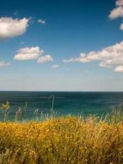 lt;lt;lt;The Peerles