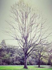 After the Divorce, I