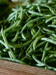 RONG Zhaonan NING Yu