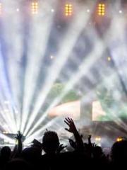 Yellow Spring Expres