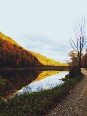 Lin Feng Lin Yun Yao