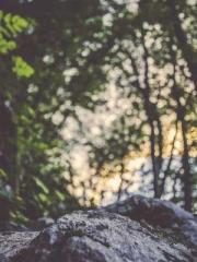 The Undefeated Son-i