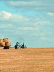 Eternal Sword Ancest